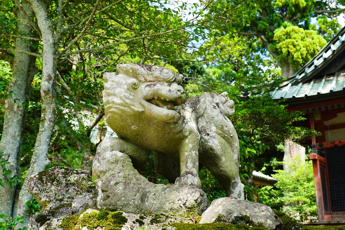 筑波山神社周辺の写真